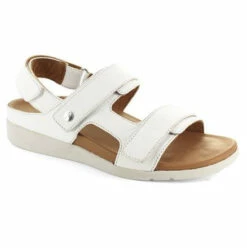 Strive Aruba -UK Shoe Sales 2024 aruba ii white angled 1