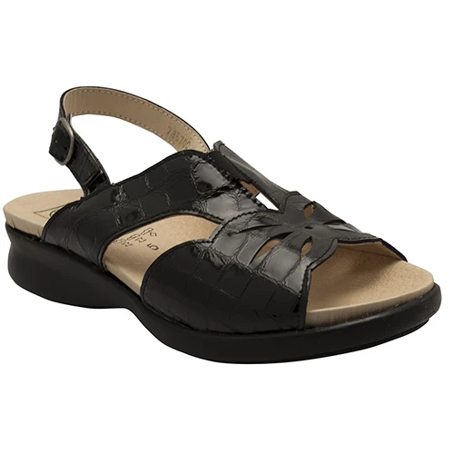 DB Easy B Butterfly 3 DB Easy B Butterfly