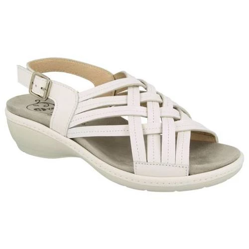 DB Easy B Worcester 4 DB Easy B Worcester - Image 2