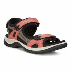 Ecco Offroad (Yucatan) Womens Sandals [069563] -UK Shoe Sales 2024 ecco offroadyucatanwomenssandals apricot