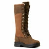 Ariat Wythburn II Waterproof Insulated Tall Boot