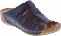 Front Page -UK Shoe Sales 2024 frances navy